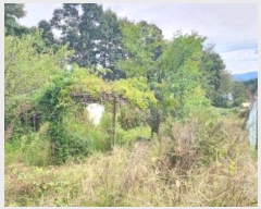  2024Ÿ404665  ֽ ȣ ֻ긮 1093-1      (1)