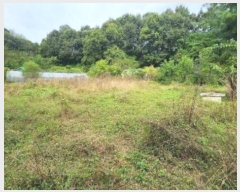  2024Ÿ404665  ֽ ȣ ֻ긮 1093-1      (1)