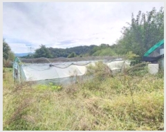  2024Ÿ404665  ֽ ȣ ֻ긮 1093-1      (1)