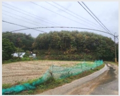  2024Ÿ405309  Ⱦ г ο 98      (Ӿ)