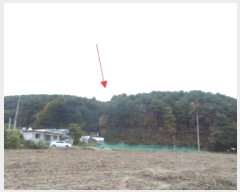  2024Ÿ405309  Ⱦ г ο 98      (Ӿ)