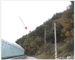  2024Ÿ405309  Ⱦ г ο 98      (Ӿ)