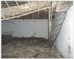  2024Ÿ��405583  ���ڽü����