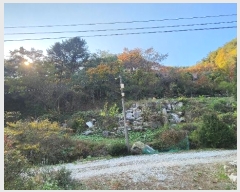  2024Ÿ��405699  �����