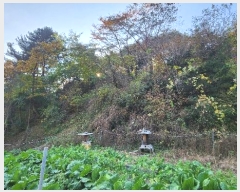  2024Ÿ��405699  �����