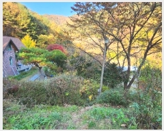  2024Ÿ��405699  �����