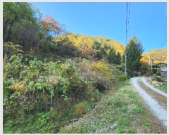  2024Ÿ��405699  �����