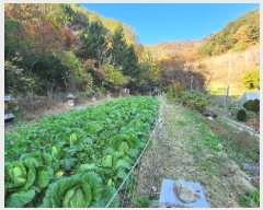  2024Ÿ��405699  �����