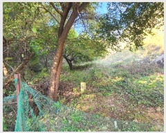  2024Ÿ��405699  �����