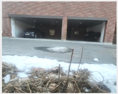  2024Ÿ��405767  �ٰ������ð��