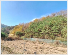  2024Ÿ��405804  �Ӿ߰��