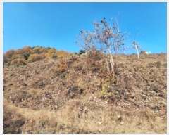  2024Ÿ��405804  �Ӿ߰��