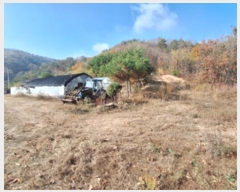  2024Ÿ��405804  �Ӿ߰��