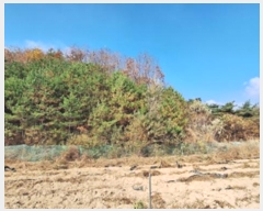  2024Ÿ��405804  �Ӿ߰��