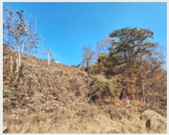  2024Ÿ��405804  �Ӿ߰��