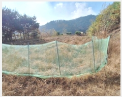  2024Ÿ��405804  �Ӿ߰��