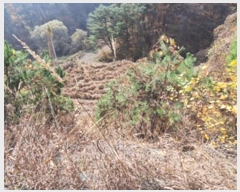  2024Ÿ��405804  �Ӿ߰��