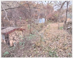  2024Ÿ405903  ֽ ʸ еи 232      (Ӿ)