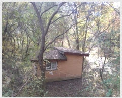  2024Ÿ405903  ֽ ʸ еи 232      (Ӿ)