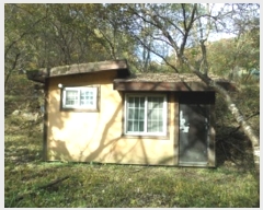  2024Ÿ405903  ֽ ʸ еи 232      (Ӿ)