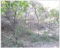  2024Ÿ405903  ֽ ʸ еи 232      (Ӿ)