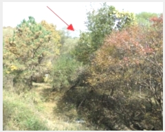  2024Ÿ405903  ֽ ʸ еи 232      (Ӿ)