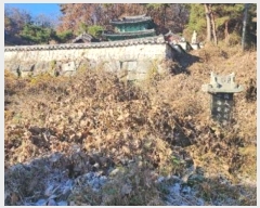  2024Ÿ406043  ֽ   1043-7      (Ӿ)