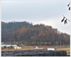  2024Ÿ406081  Ⱦ õ ׸ 47      (Ӿ)