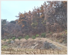  2024Ÿ406081  Ⱦ õ ׸ 47      (Ӿ)