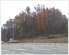  2024Ÿ406081  Ⱦ õ ׸ 47      (Ӿ)