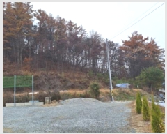  2024Ÿ406081  Ⱦ õ ׸ 47      (Ӿ)