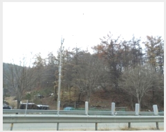  2024Ÿ406081  Ⱦ õ ׸ 47      (Ӿ)