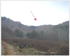  2024Ÿ��406111  �����