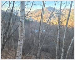  2024Ÿ��406111  �����