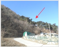  2024Ÿ406258  ֽ ͷ ͷ 102-9      (Ӿ)