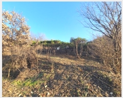  2024Ÿ406425  Ⱦ Ⱦ ߵ 3-123      ()