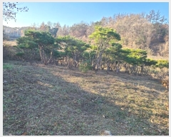  2024Ÿ406425  Ⱦ Ⱦ ߵ 3-123      ()