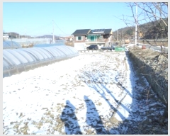  2024Ÿ406425  Ⱦ Ⱦ ߵ 3-123      ()