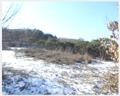  2024Ÿ406425  Ⱦ Ⱦ ߵ 3-123      ()