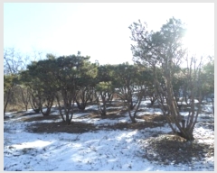  2024Ÿ406425  Ⱦ Ⱦ ߵ 3-123      ()