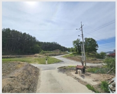  2024Ÿ803  Ⱦ Ⱦ Լ 36-2      (1)