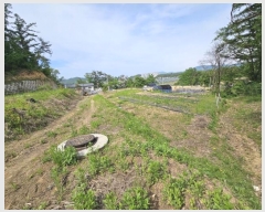  2024Ÿ803  Ⱦ Ⱦ Լ 36-2      (1)