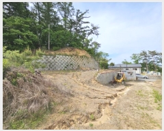  2024Ÿ803  Ⱦ Ⱦ Լ 36-2      (1)