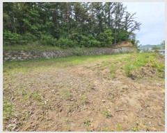  2024Ÿ803  Ⱦ Ⱦ Լ 36-2      (1)