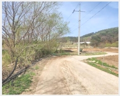  2024Ÿ��872  �����