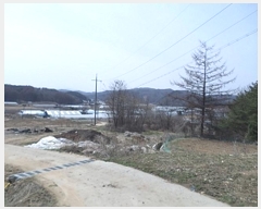  2024Ÿ��872  �����