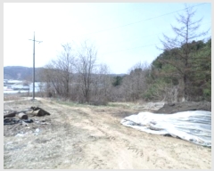  2024Ÿ��872  �����