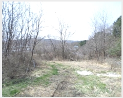  2024Ÿ��872  �����