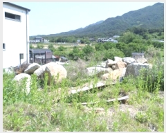  2024Ÿ1363  ֽ ౸ 91-27       (1)