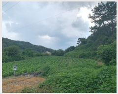  2024Ÿ2410  ֽ ʸ ǰ 78      (1)